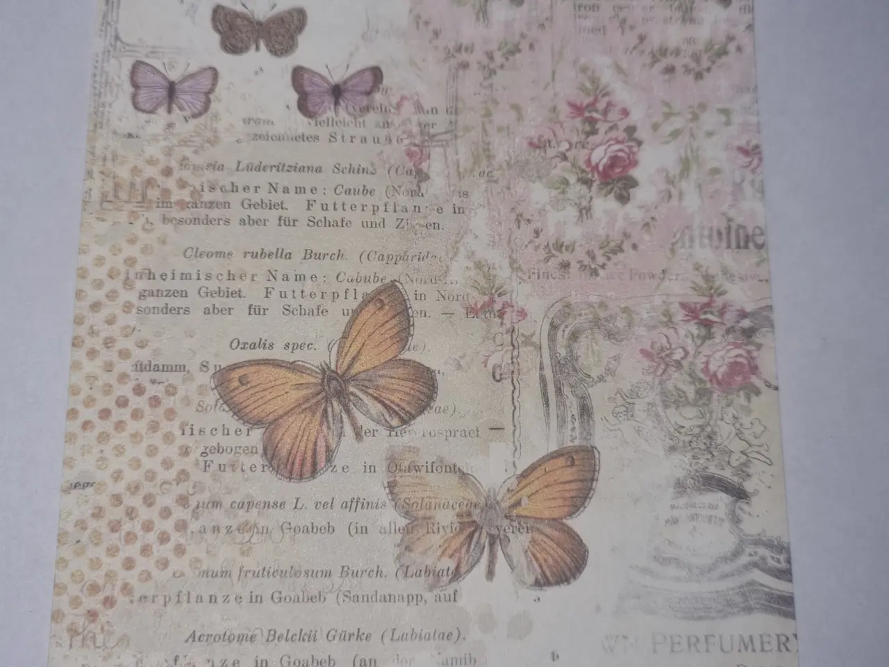 Billede 6 - Annonce 218 - Hobby