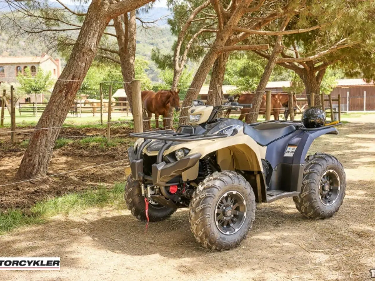 Billede 6 - Yamaha Kodiak 450 EPS SE ALU Diff Lock