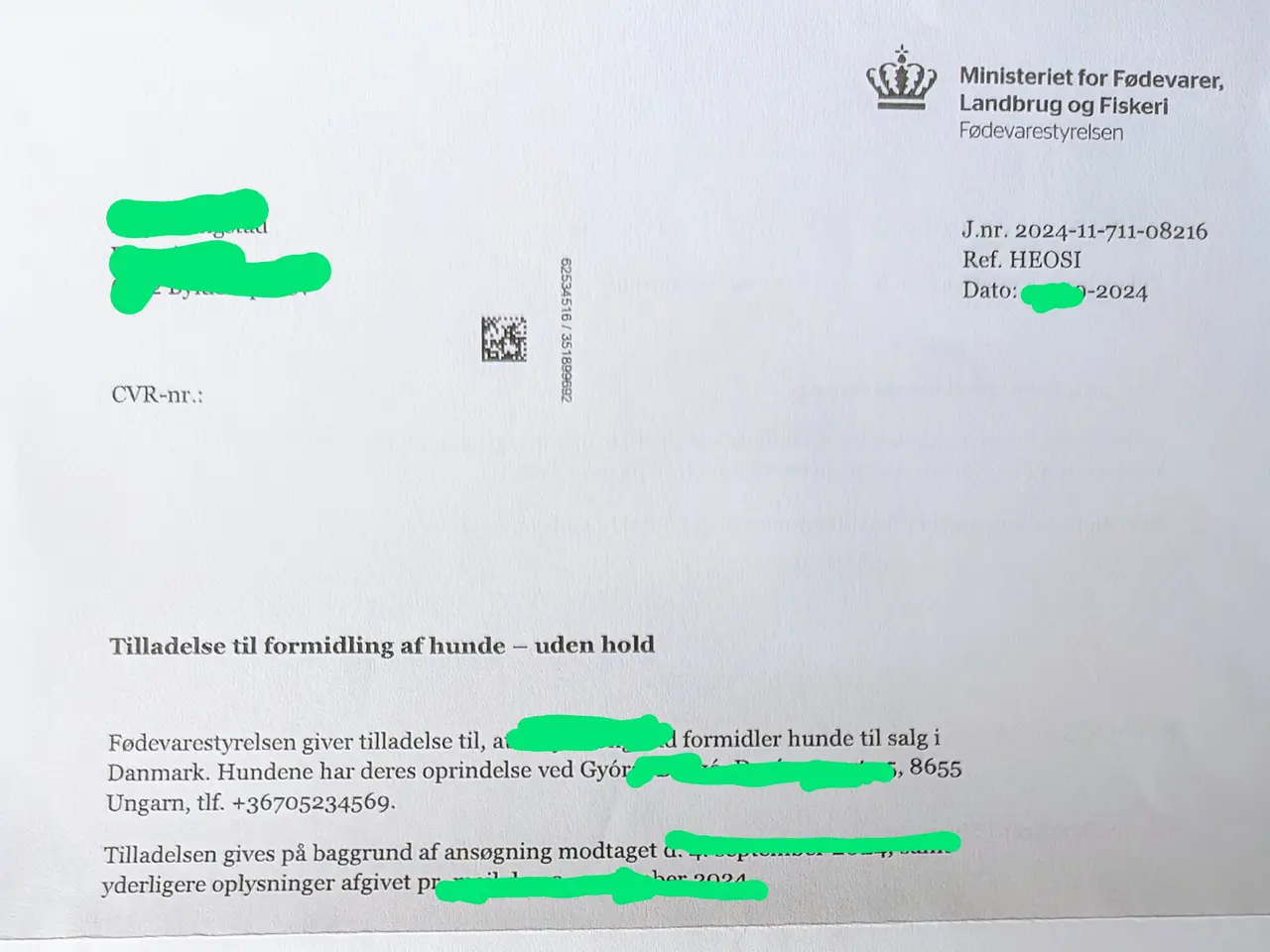 Billede 14 - Fransk bulldog hvalp.