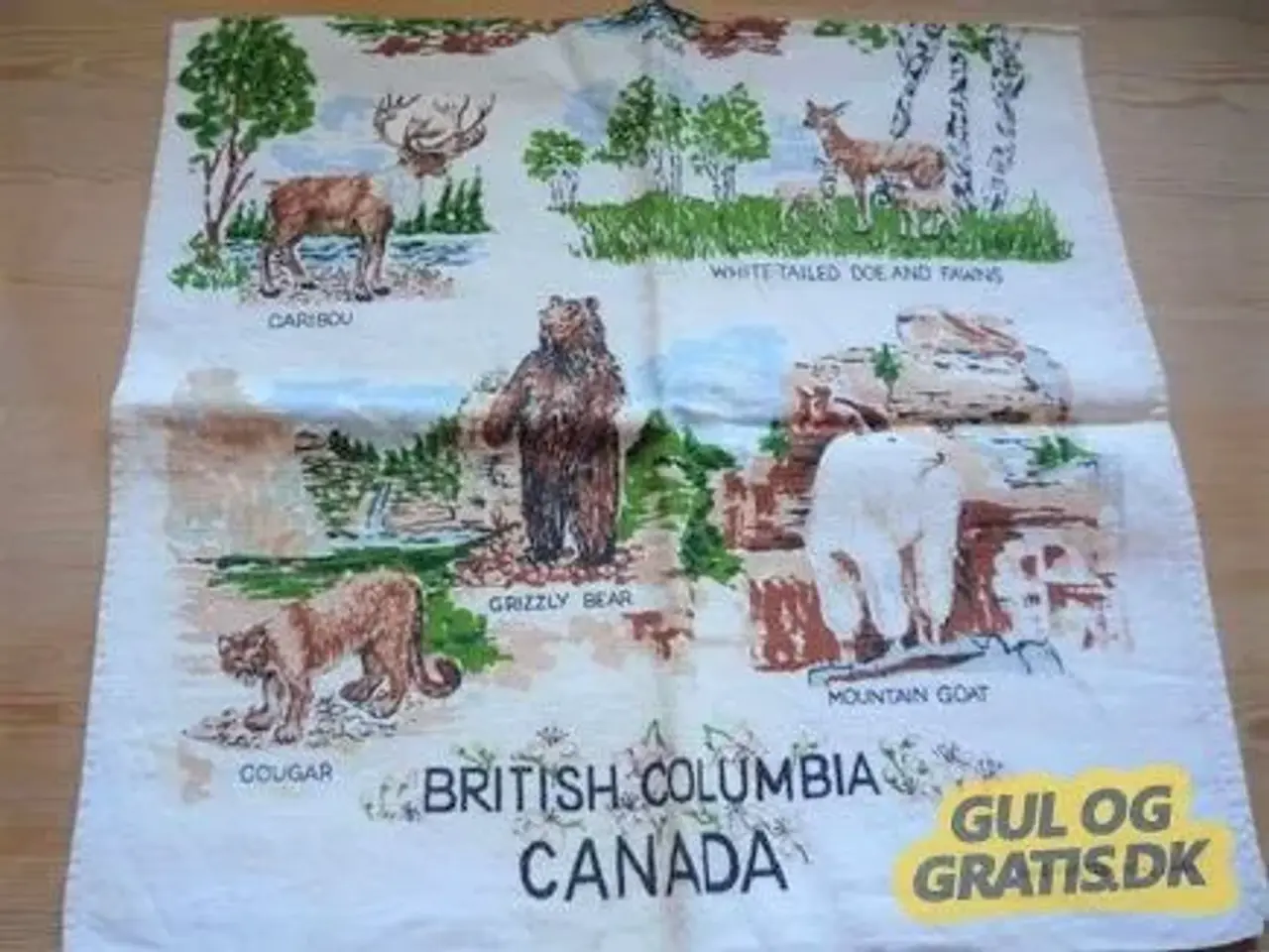 Billede 3 - Retro, viskestykke fra Canada
