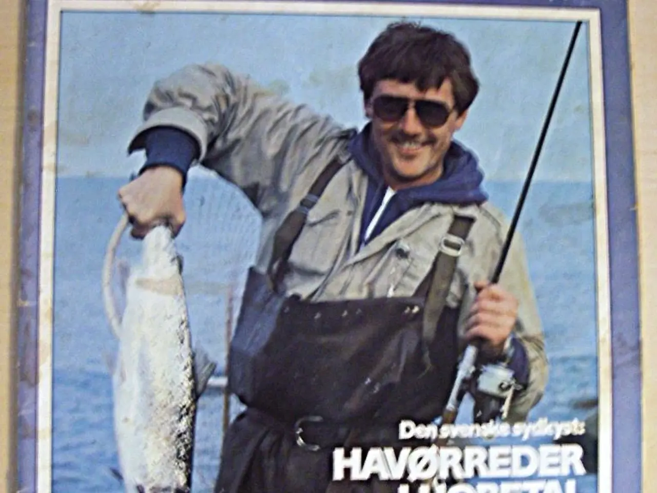 Billede 1 - Fisk & Fri, næsten komplet
