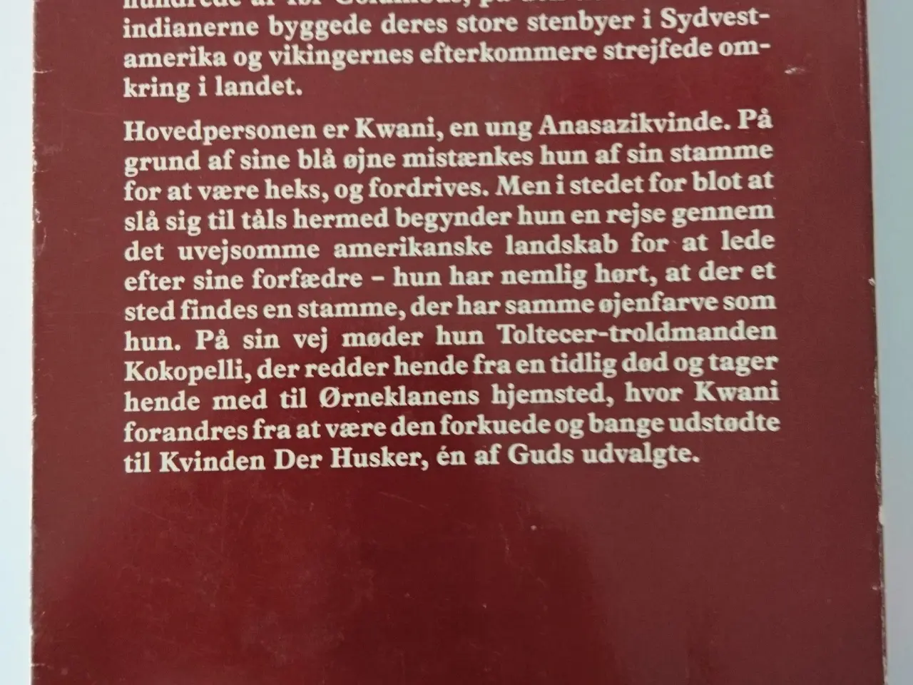 Billede 2 - Kvinden der husker. Af Linda Lay Shuler