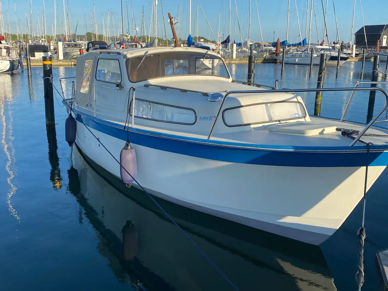 Billede 8 - Albin 25 deluxe