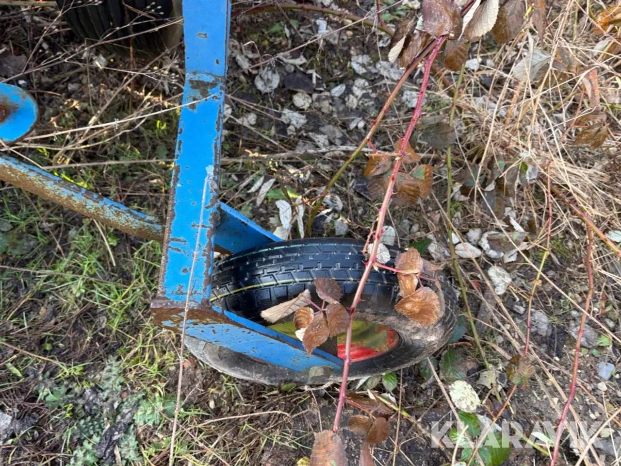 Billede 3 - Såmaskine Nordsten Lift-o-matic