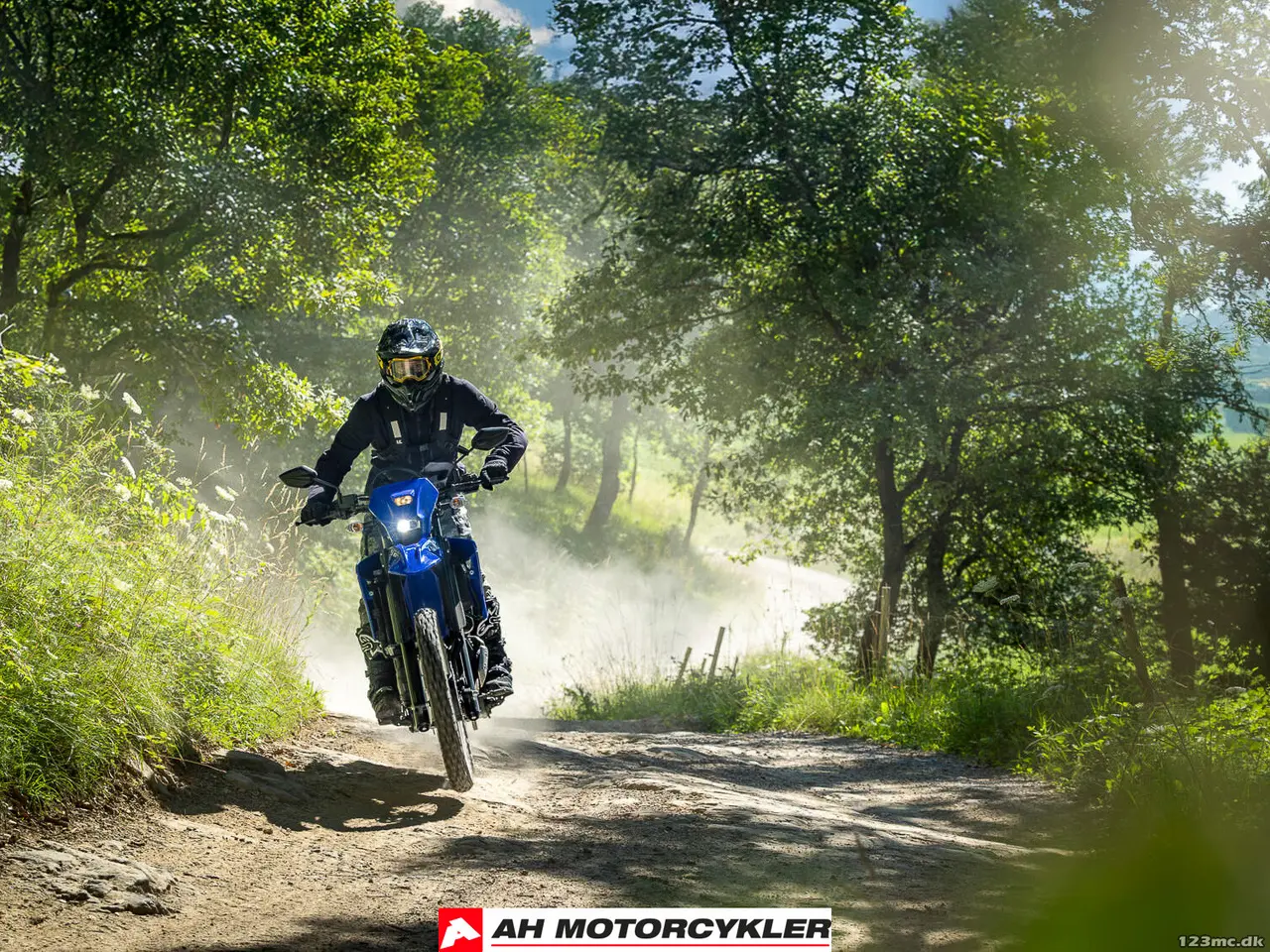 Billede 14 - Yamaha WR 125 Icon Blue