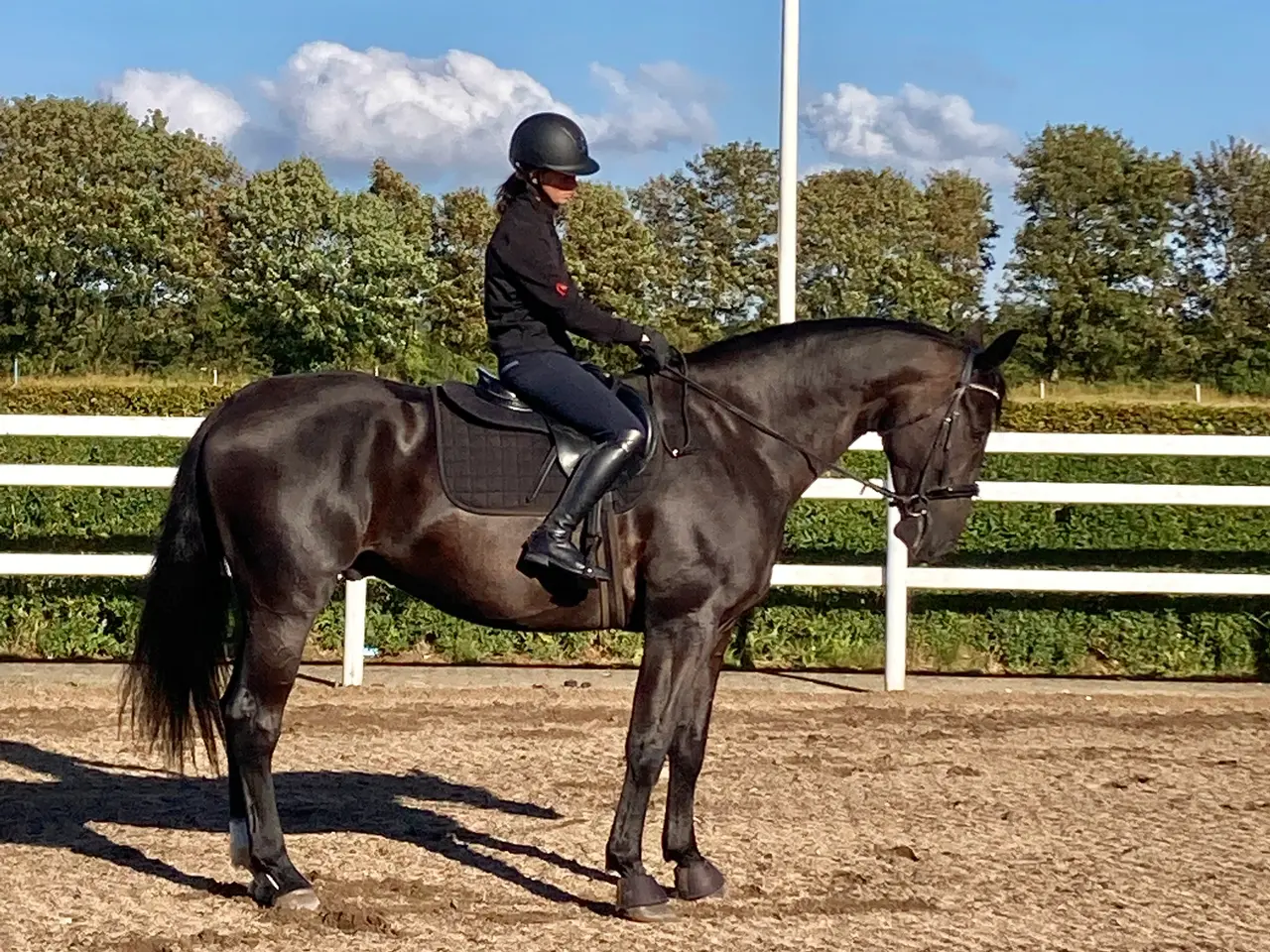 Billede 12 - Tilridening ridening massage kårring