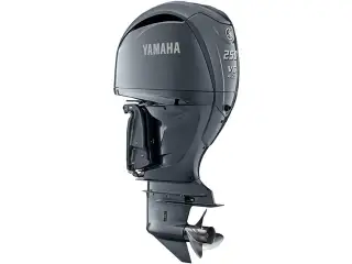 Yamaha F250XSB