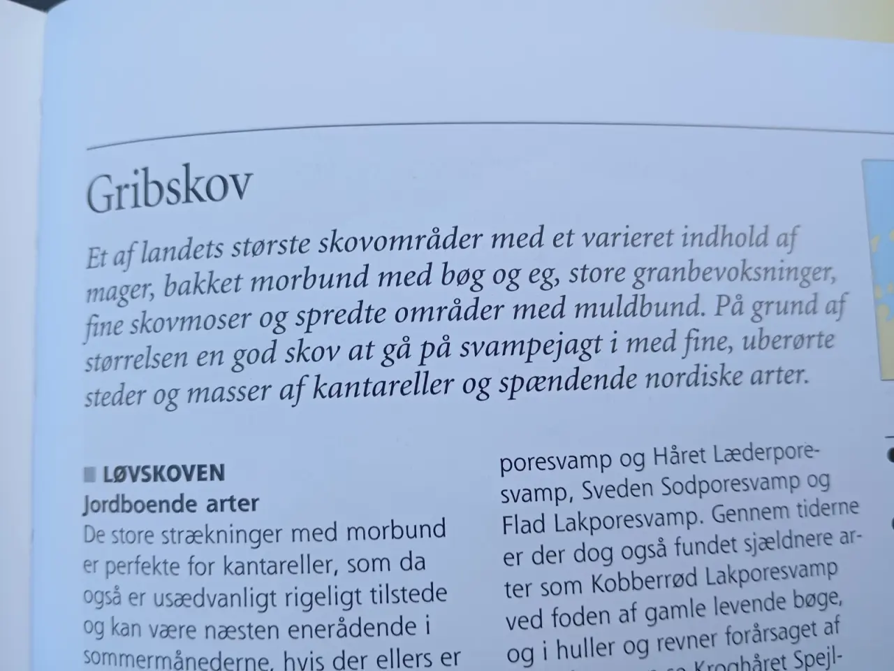 Billede 6 - Danmarks Svampelokaliteter