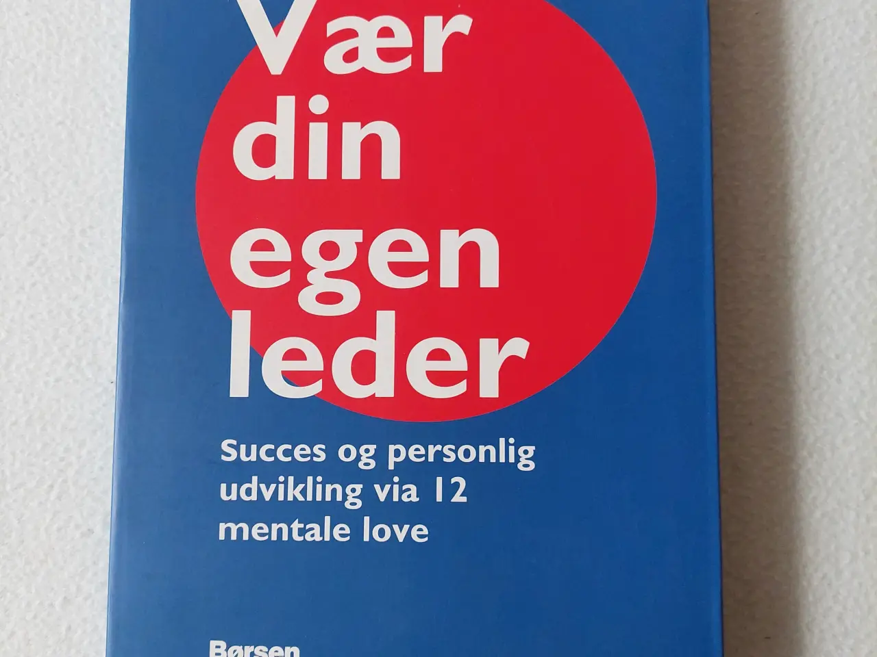 Billede 1 - Vær din egen leder