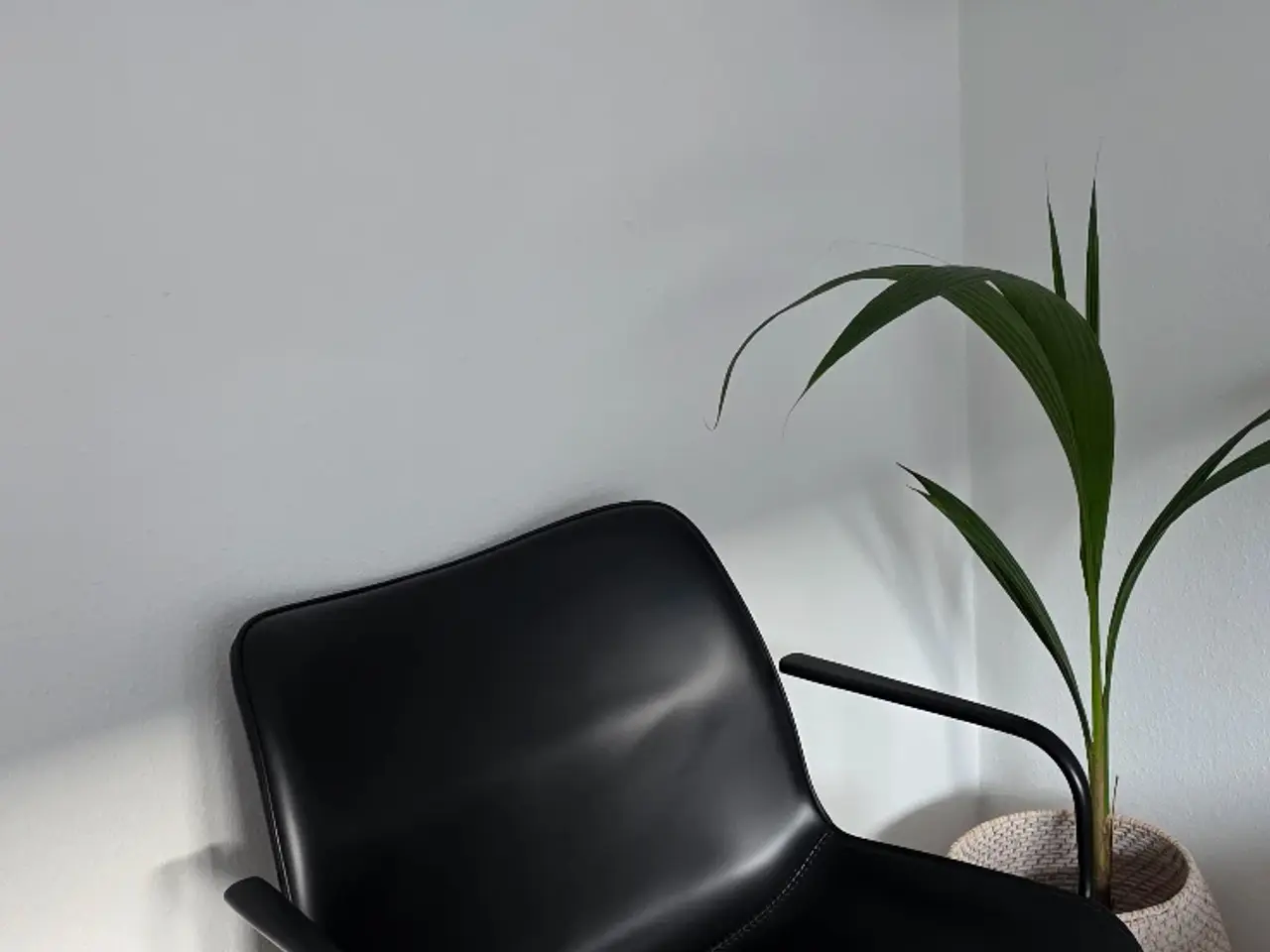 Billede 2 - 2 Brede loungestole/spisebordsstole