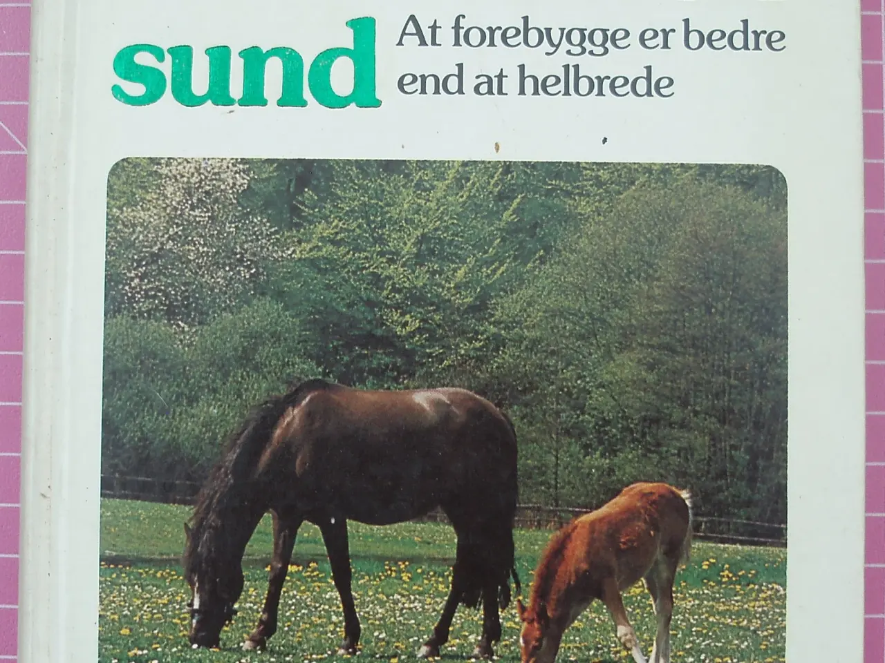 Billede 1 - Hold hesten sund, at forebygge er bedre end at