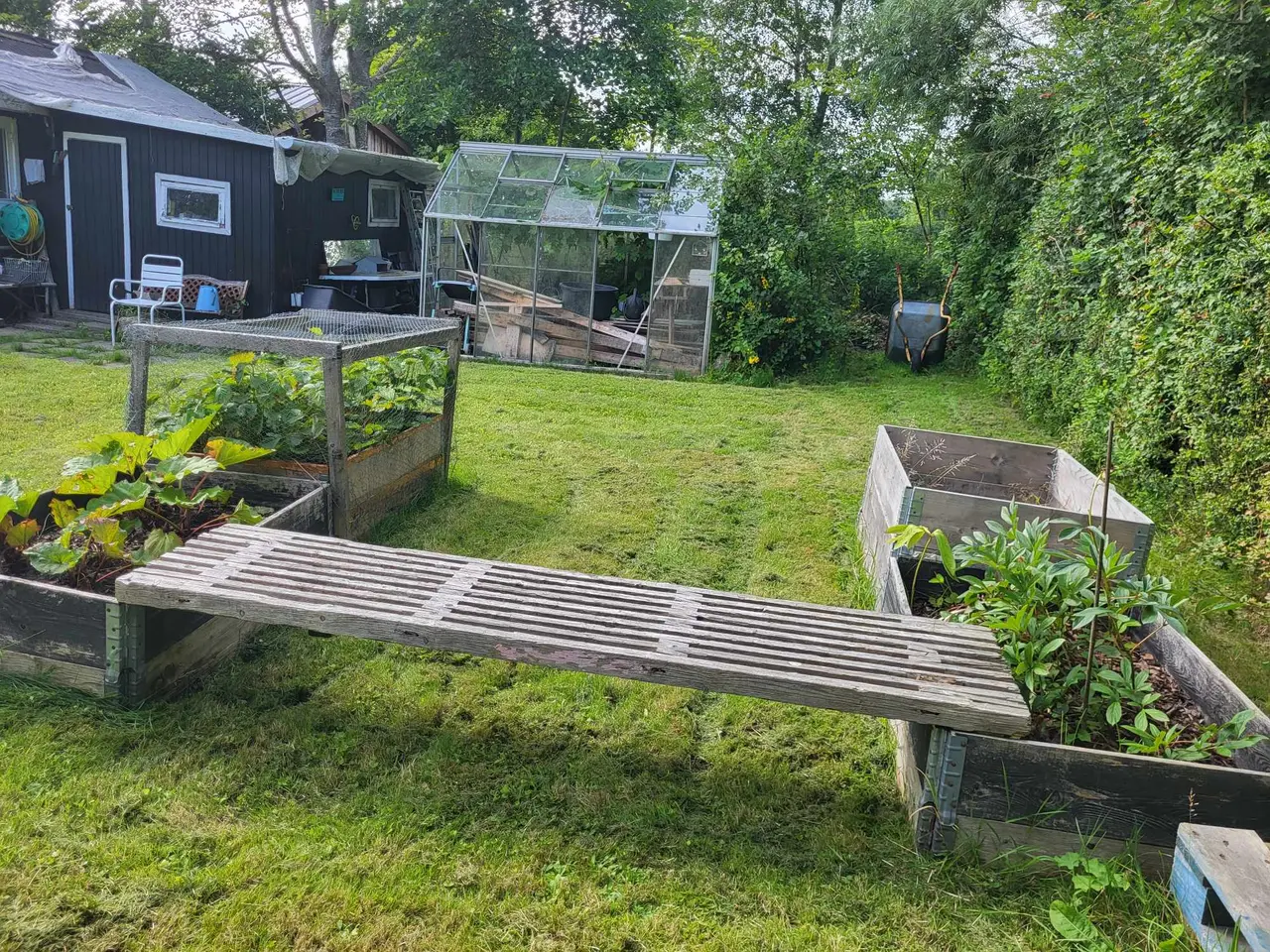 Billede 10 - KOLONIHAVE i HF Draget, 9200 Aalborg SV til salg