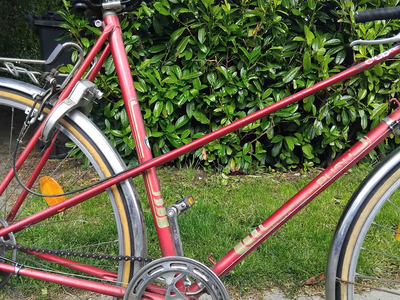 Billede 2 - Puch clubmann