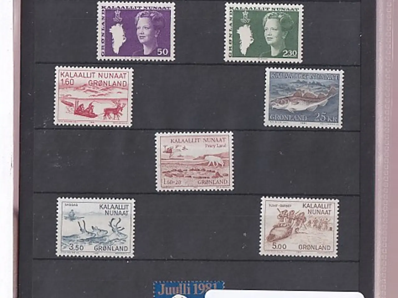 Billede 1 - Grønland - 1981 Frimærker Komplet - Postfrisk