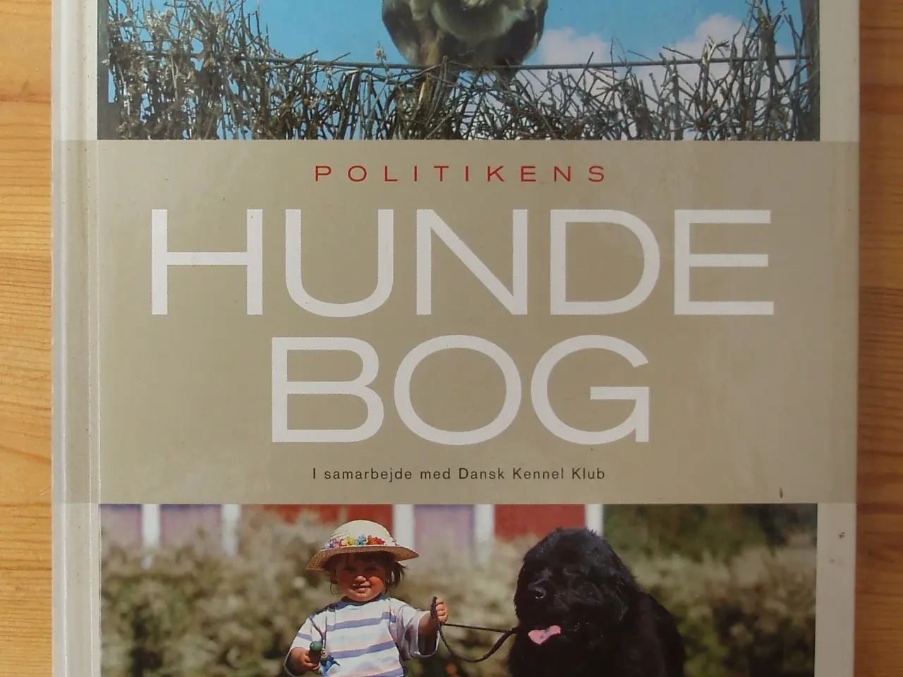 Billede 1 - Politikens Hundebog