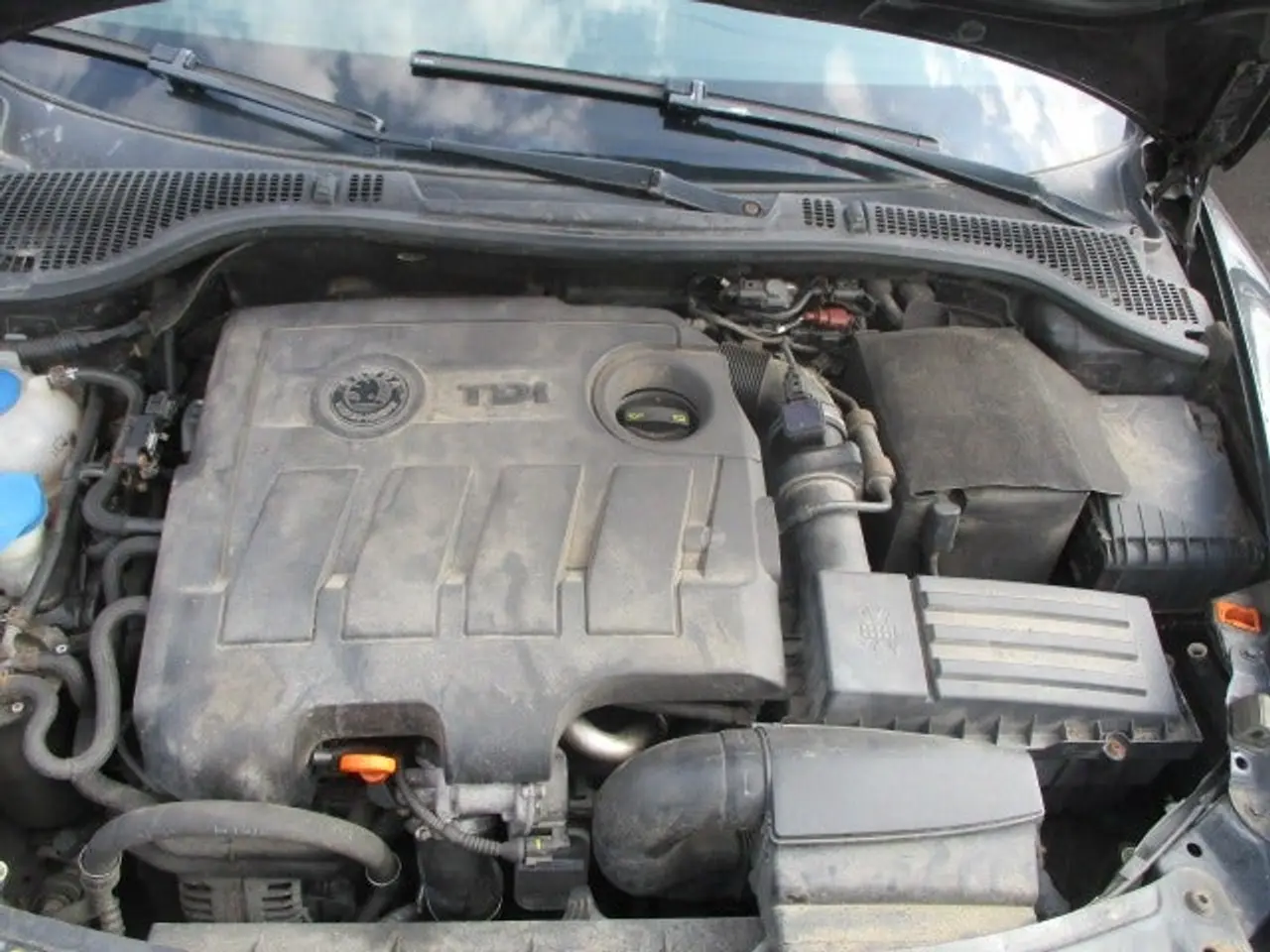 Billede 11 - Skoda Octavia 1,6 TDi 105 Ambiente Combi