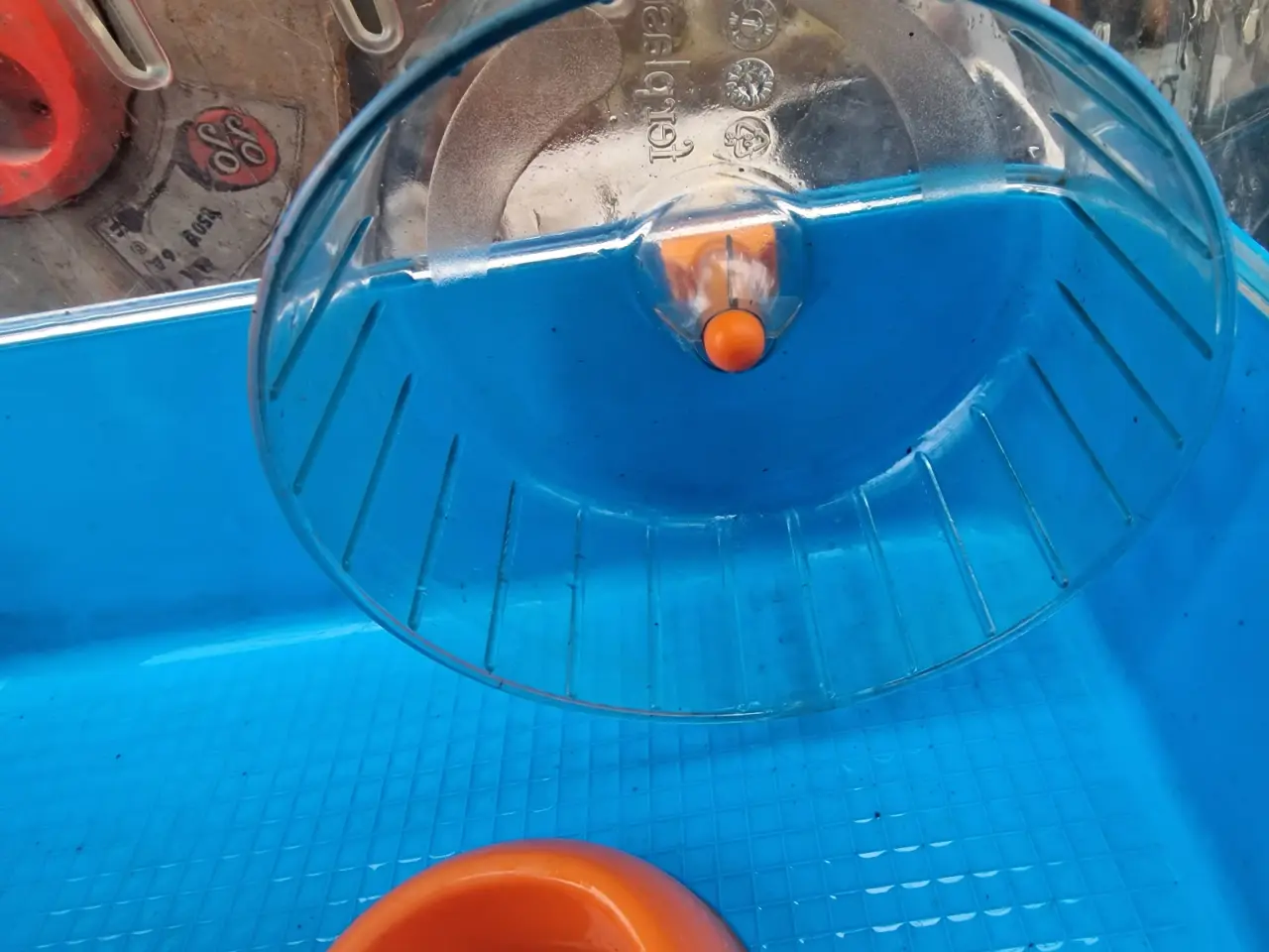 Billede 4 - Hamsterbur med tilbehør 
