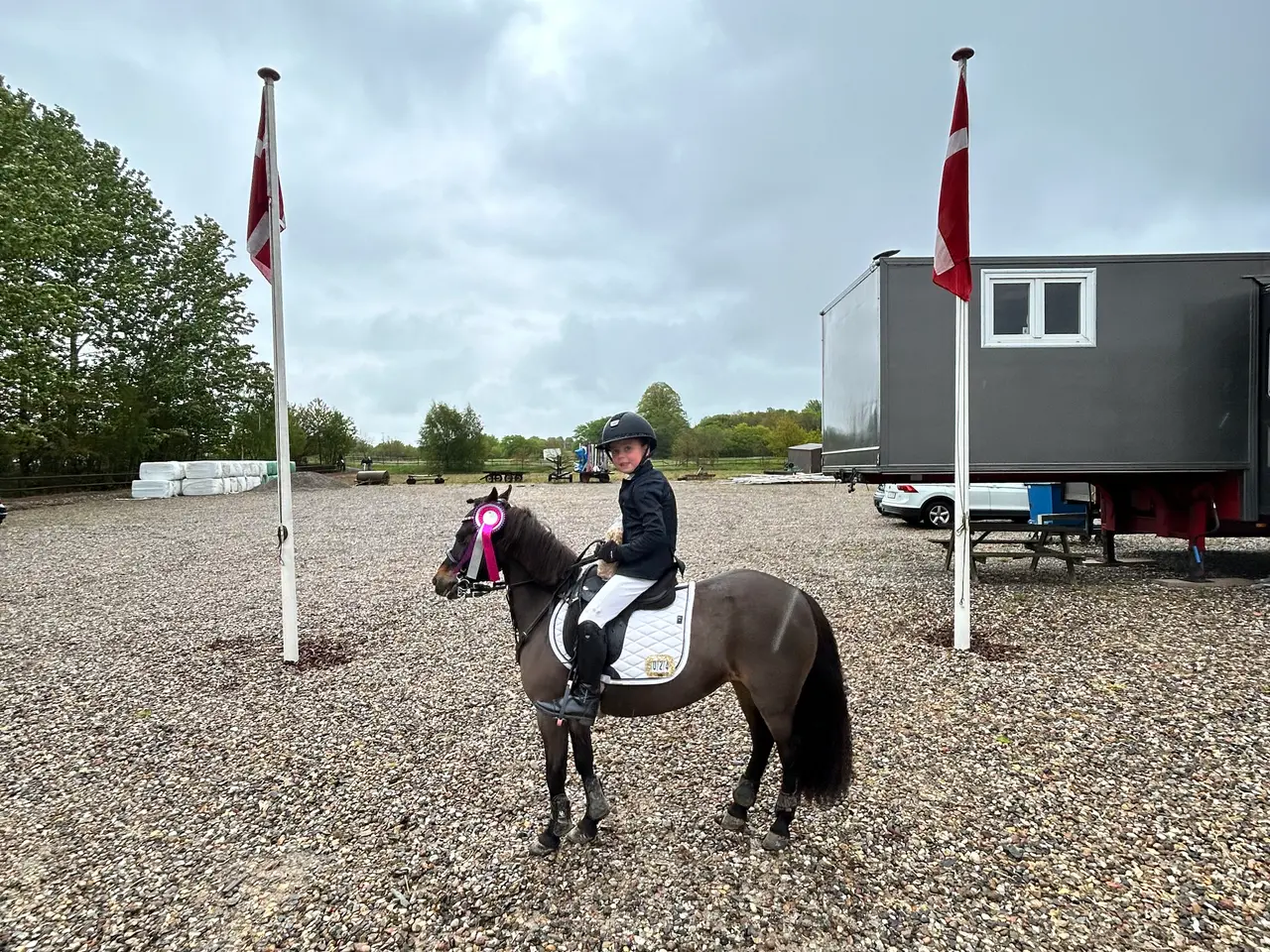 Billede 5 - Sød børne pony Jackie