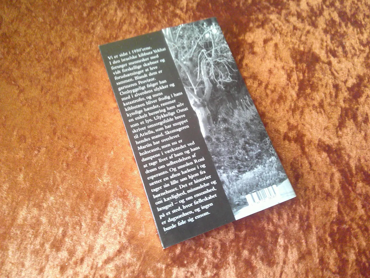 Billede 2 - Mellem venner, Amos Oz, 