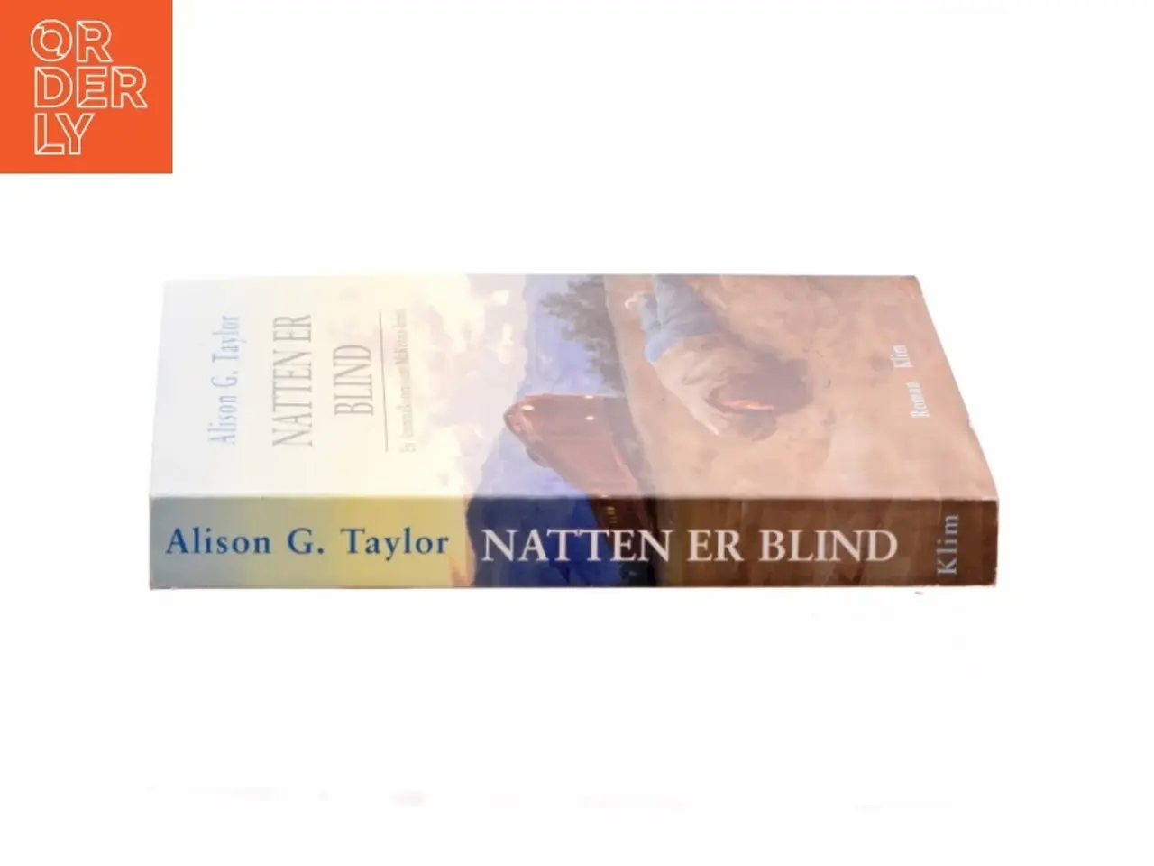 Billede 2 - Natten er blind af Alison G. Taylor (Bog)