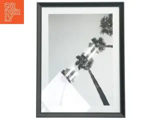 Indrammet billede af palmetræer fra IKEA (str. 42,5x32,5 cm)