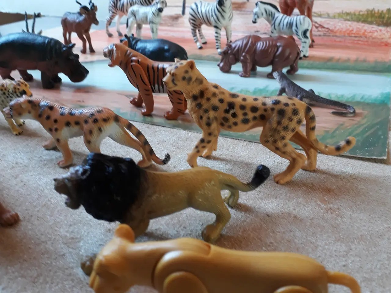 Billede 13 - 24 Vilde Zoo Dyr