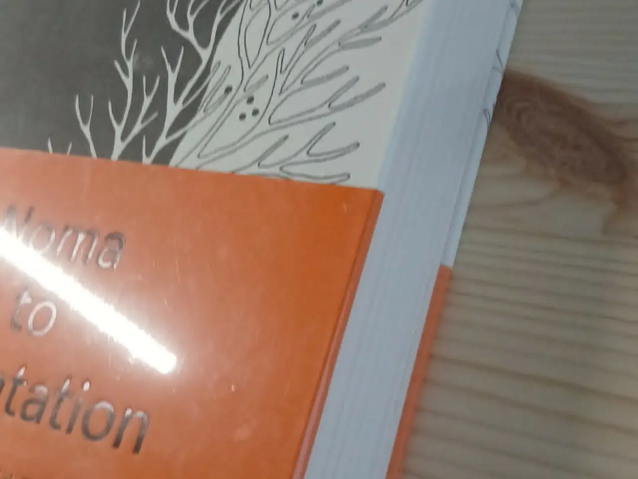 Billede 3 - The Noma Guide to Fermentation