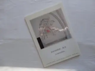 Kirker - Hammer Åle Tørring :