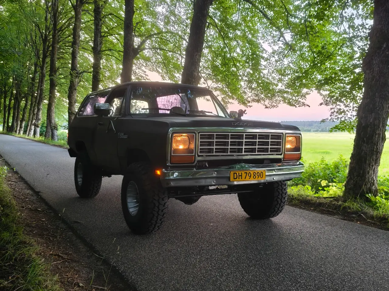 Billede 8 - Dodge Ramcharger