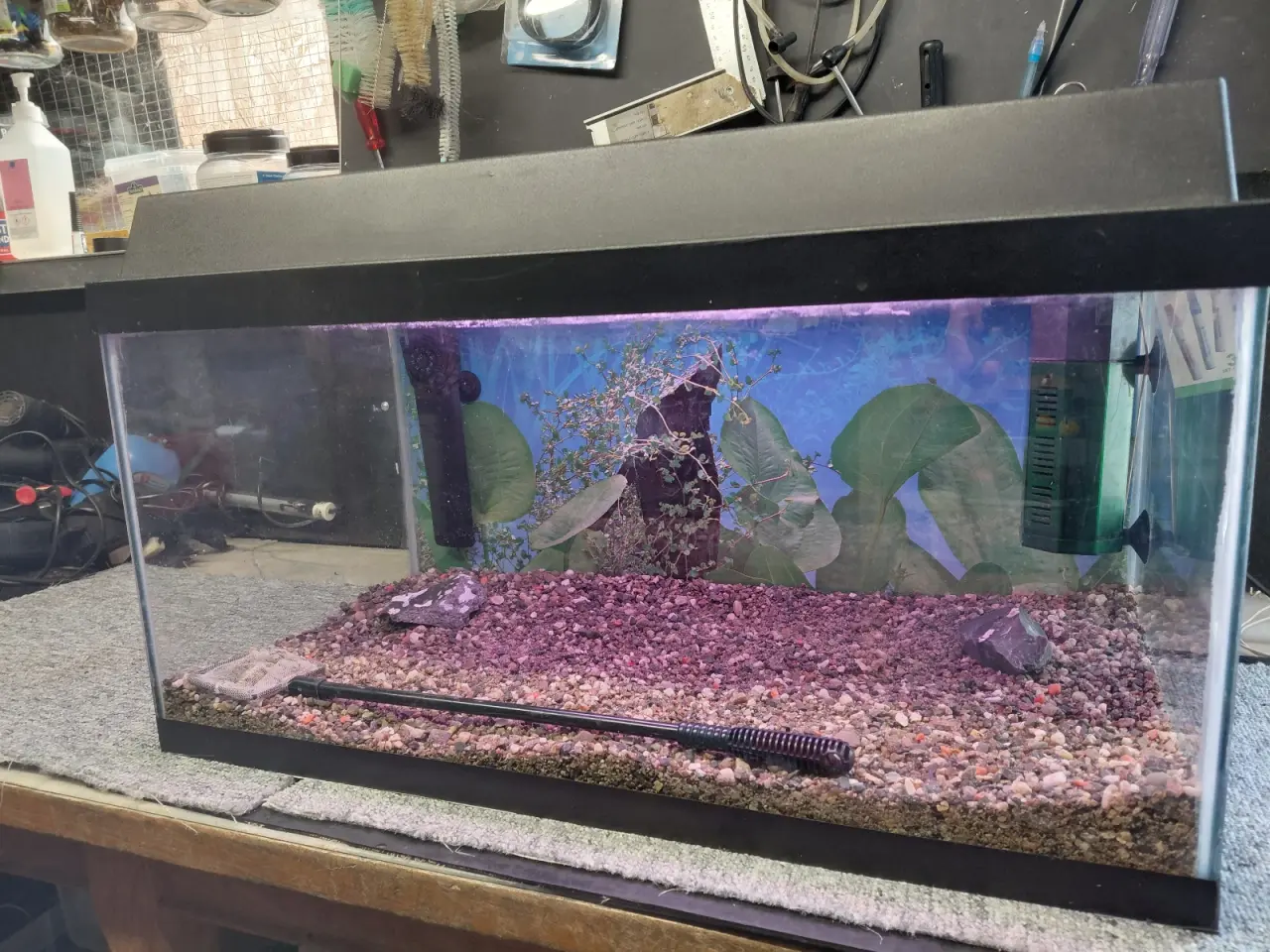 Billede 6 - Akvarier 54L 