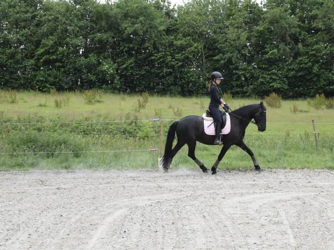 Billede 7 - Halv frieser halv pony