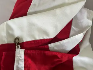 Danneborgs flag