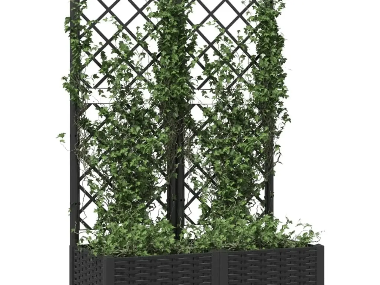 Billede 3 - Haveplantekasse med espalier sort 80x40x121,5 cm PP
