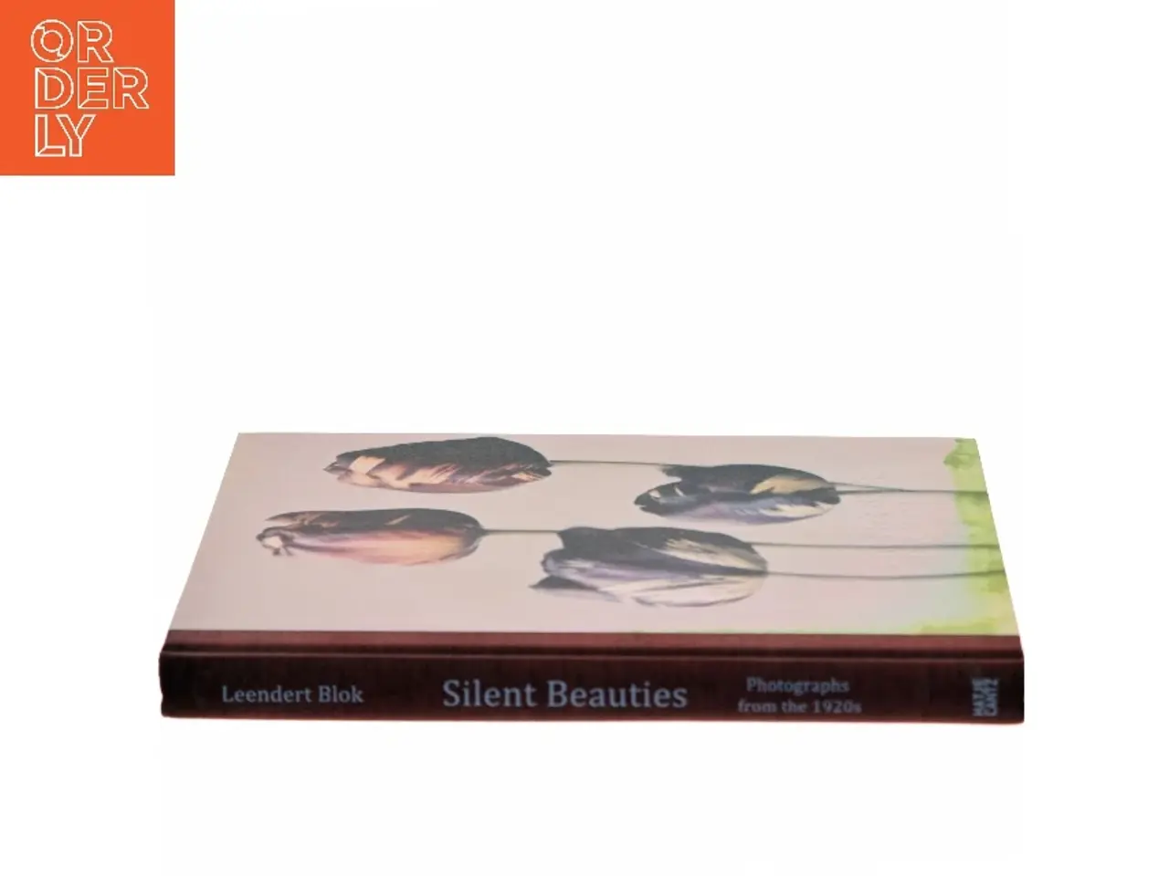 Billede 2 - Silent Beauties af Leendert Blok (Bog)
