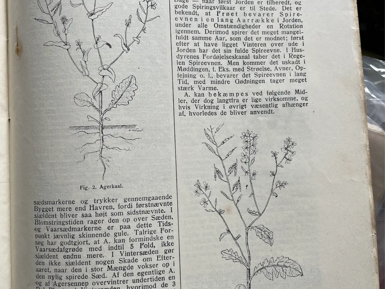 Billede 9 - Landbrugets Ordbog 1-104, 1908-14. Giv bud