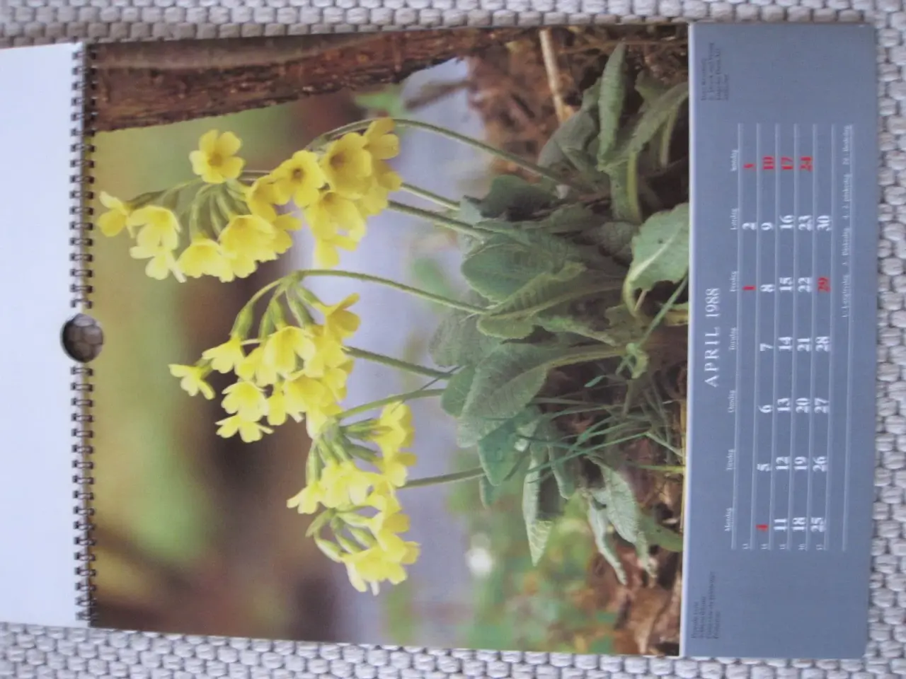 Billede 2 - Gammel kalender