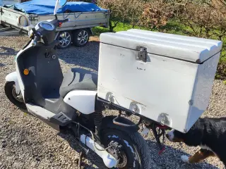 EL Scooter 45
