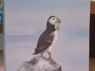 Vingede fiskere af Lasse Sørensen