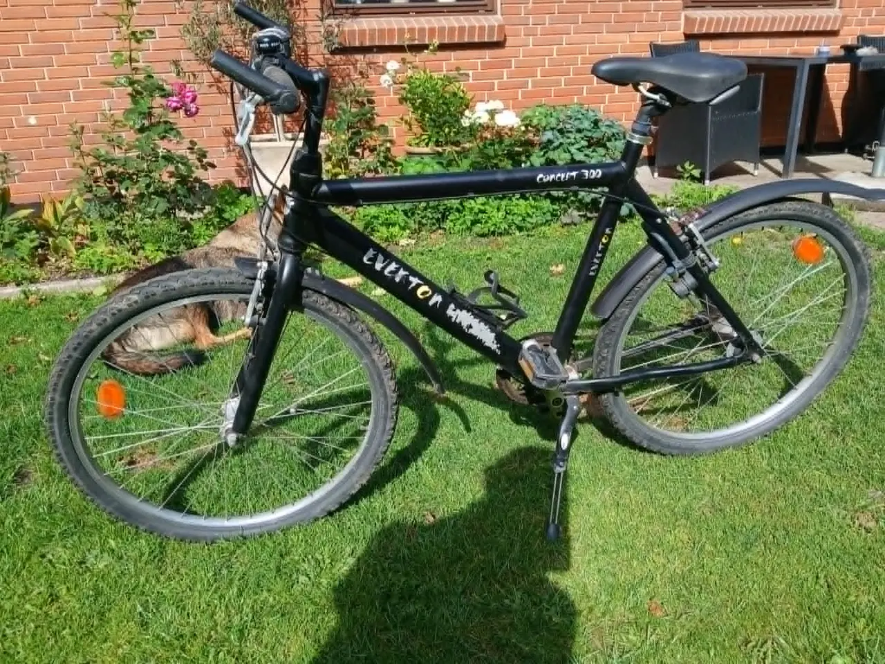 Billede 3 - Everton MTB- city