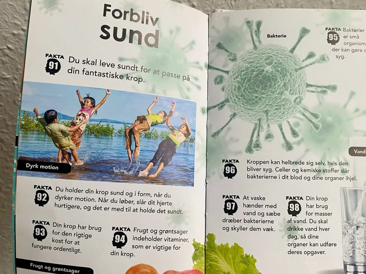 Billede 4 - Over 100 fakta for børn om kroppen. Børnebog