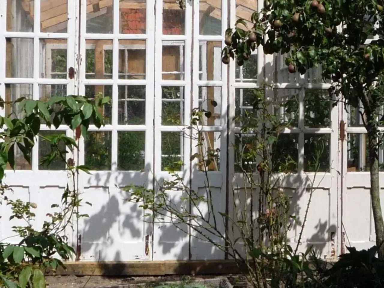 Billede 1 - Glas 