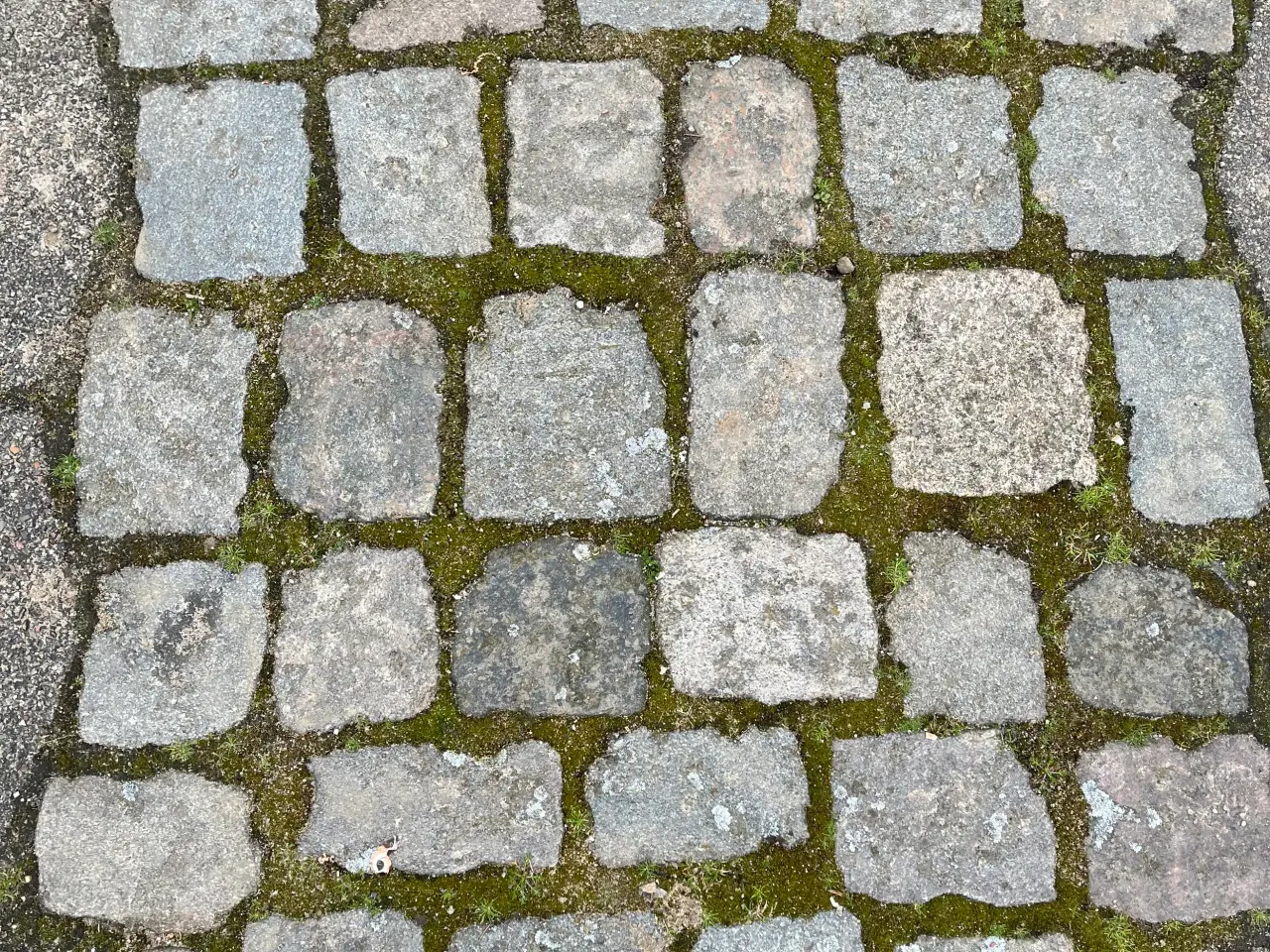 Billede 4 - Store brosten