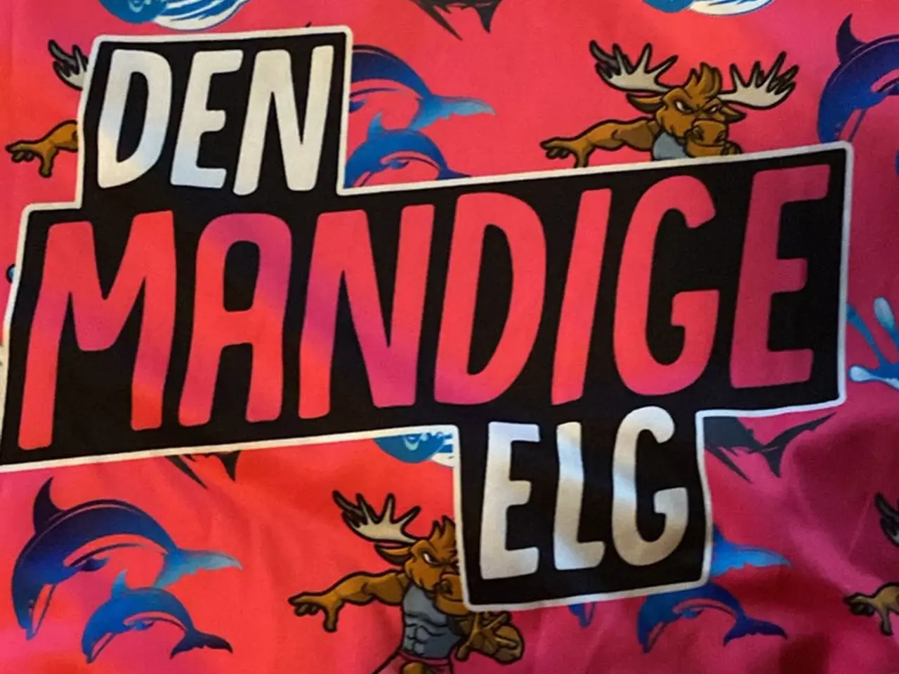 Billede 2 - Den mandige elg