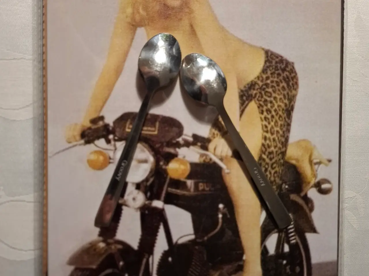 Billede 2 - Puch monza skilt