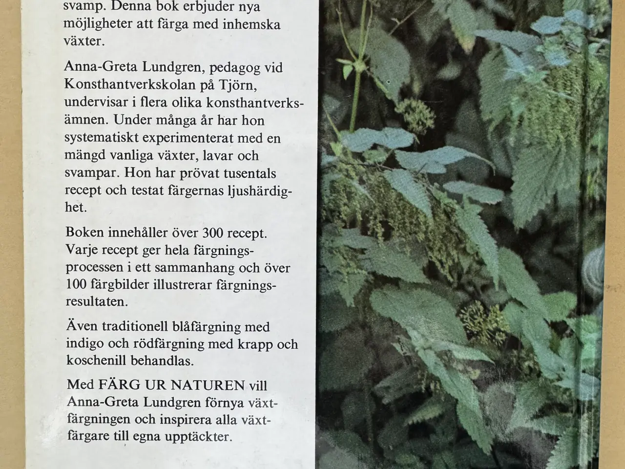 Billede 2 - PLANTE-, LAV- & SVAMPEFARVNING af ULD