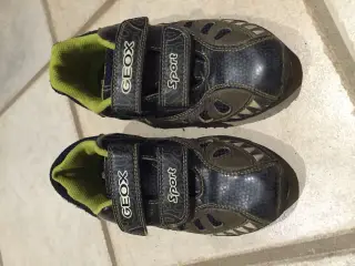 Velholdte Geox sko str. 31