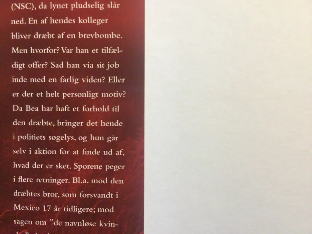 Billede 3 - Kirsten Holst: Sin brors vogter