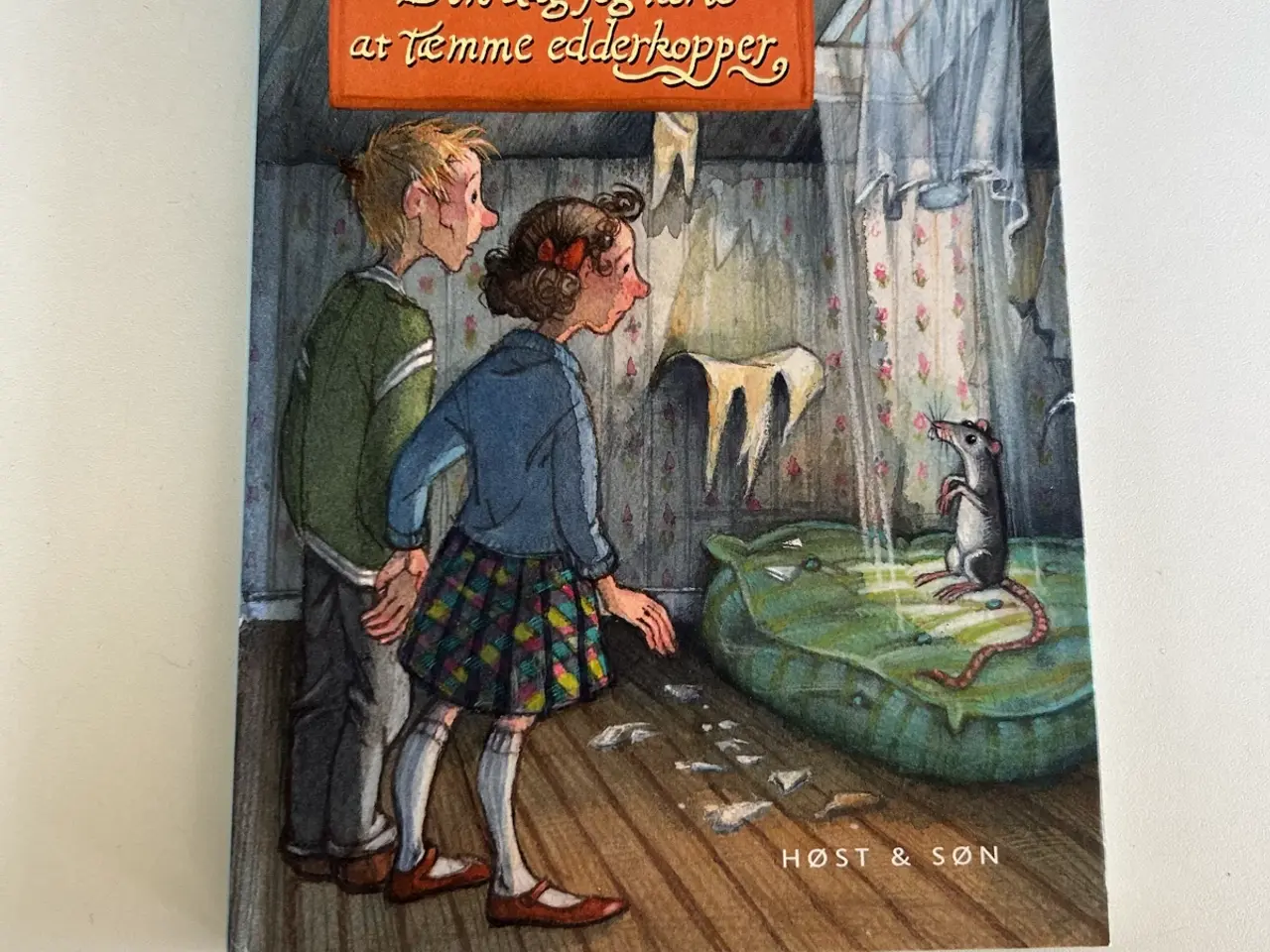 Billede 1 - Den dag jeg lærte at tæmme edderkopper