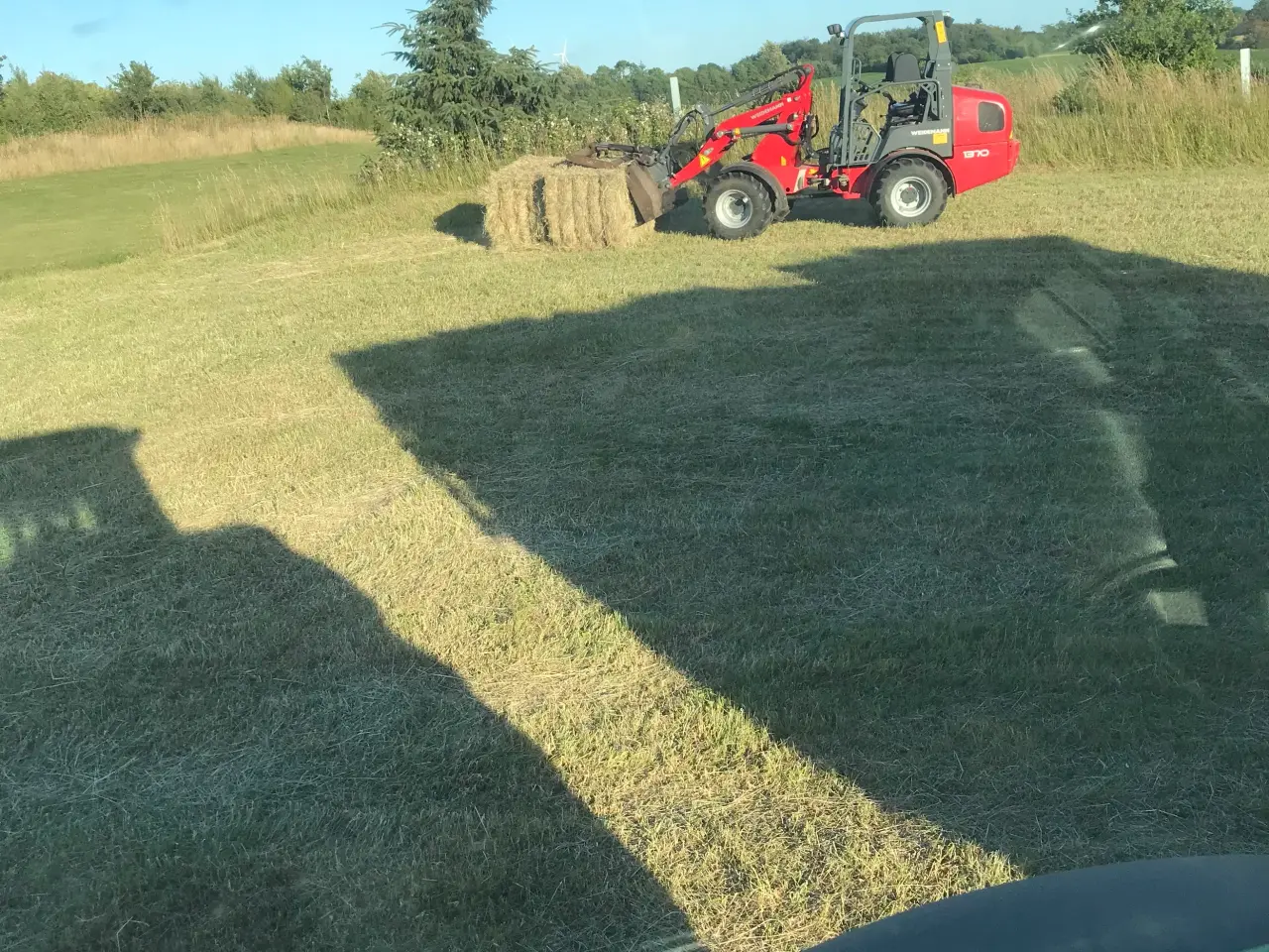 Billede 1 - Hø i minnibig.