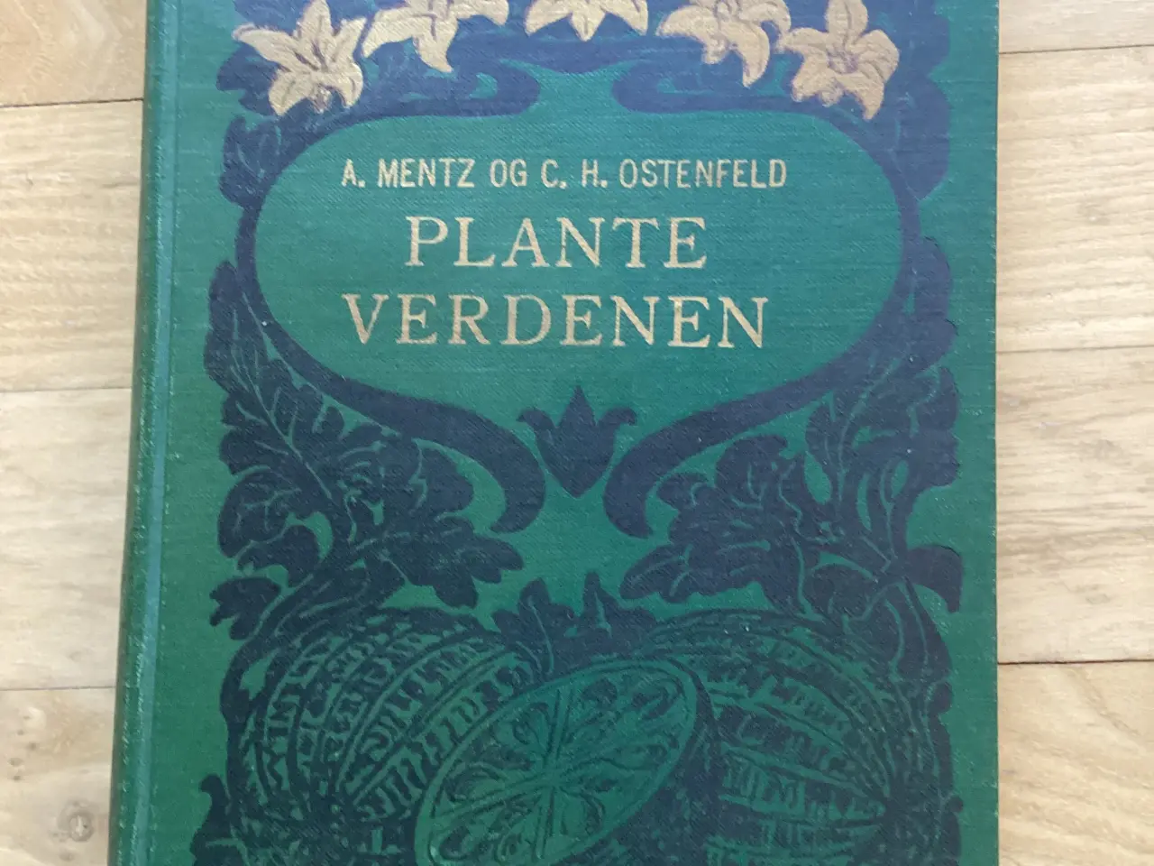 Billede 1 - Planteverdenen